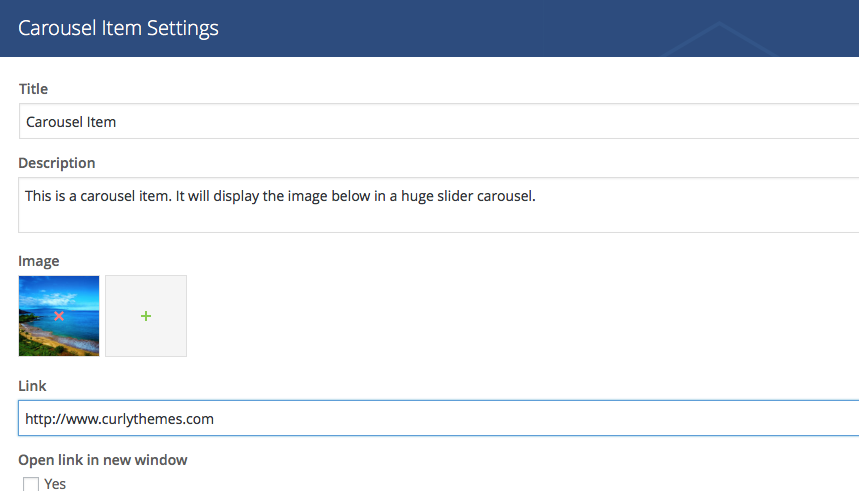 Carousel Item Settings