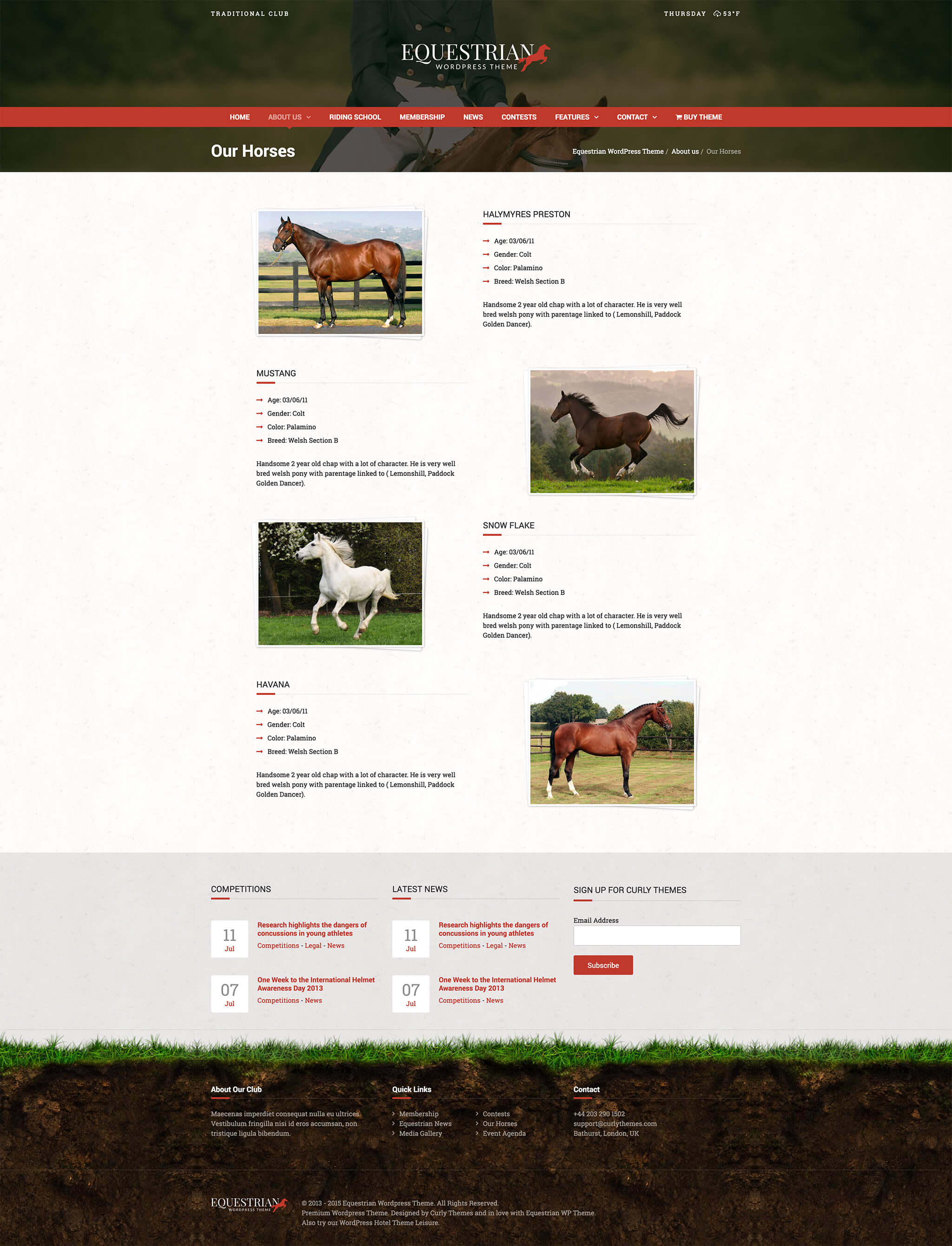 Equestrian screenshot 2